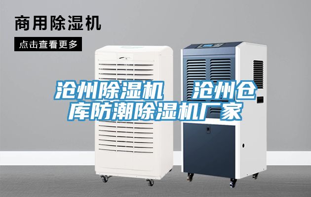 沧州91免费网站在线观看  沧州仓库防潮91免费网站在线观看厂家