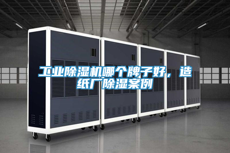 工业91免费网站在线观看哪个牌子好，造纸厂除湿案例