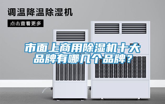 市面上商用91免费网站在线观看十大品牌有哪几个品牌？