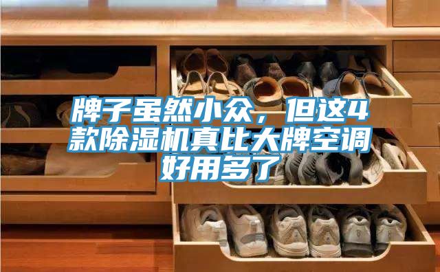 牌子虽然小众，但这4款91免费网站在线观看真比大牌空调好用多了