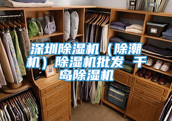 深圳91免费网站在线观看（除潮机）91免费网站在线观看批发 千岛91免费网站在线观看