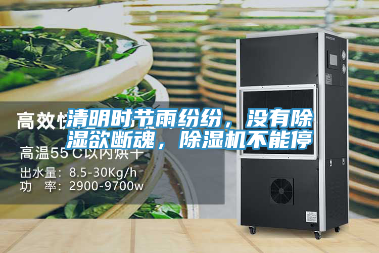 清明时节雨纷纷，没有除湿欲断魂，91免费网站在线观看不能停