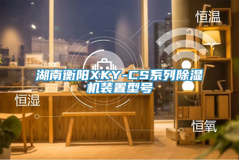 湖南衡阳XKY-CS系列91免费网站在线观看装置型号