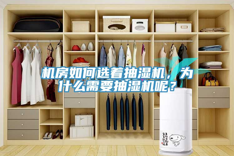 机房如何选着抽湿机，为什么需要抽湿机呢？