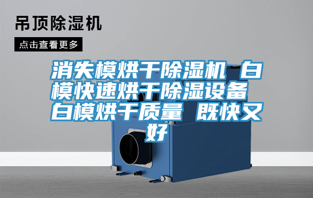 消失模烘干91免费网站在线观看 白模快速烘干除湿设备 白模烘干质量 既快又好