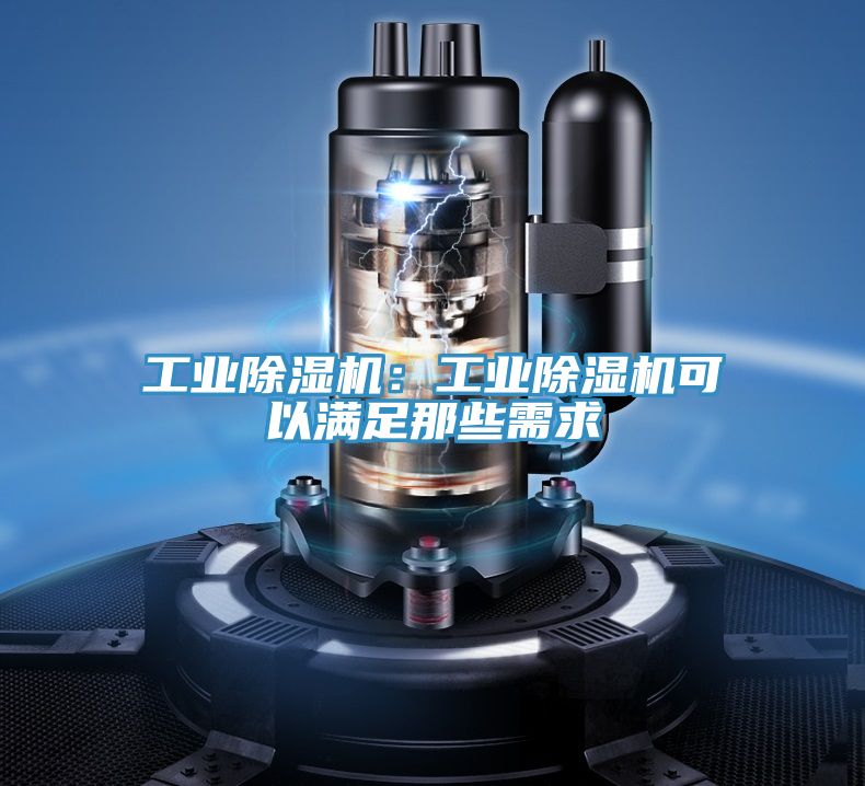 工业91免费网站在线观看：工业91免费网站在线观看可以满足那些需求