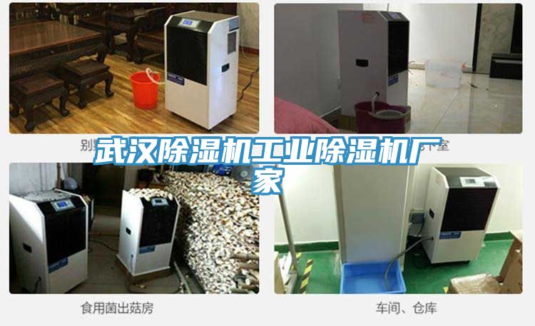 武汉91免费网站在线观看工业91免费网站在线观看厂家