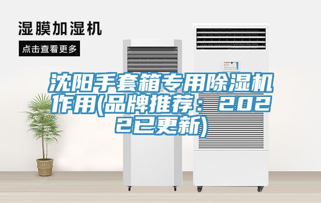 沈阳手套箱专用91免费网站在线观看作用(品牌推荐：2022已更新)
