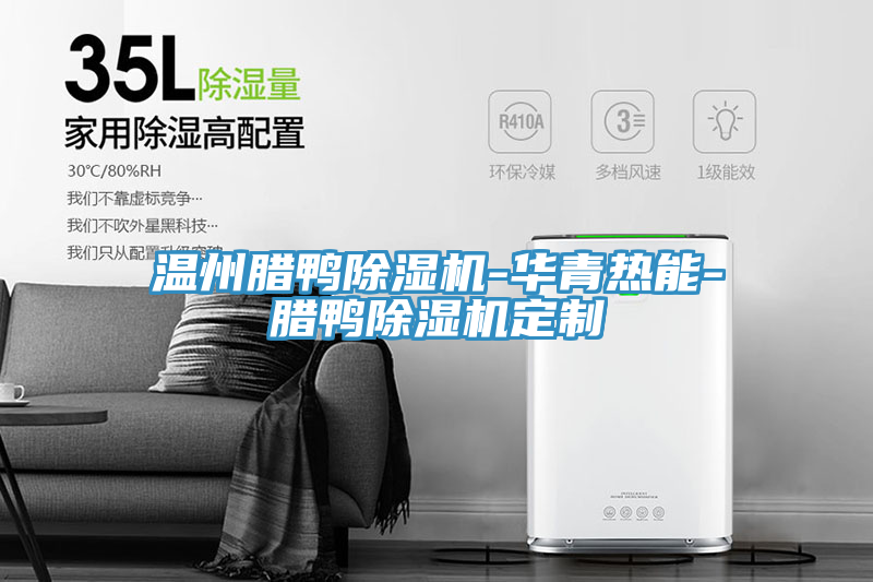 温州腊鸭91免费网站在线观看-华青热能-腊鸭91免费网站在线观看定制