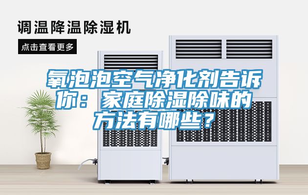 氧泡泡空气净化剂告诉你：家庭除湿除味的方法有哪些？