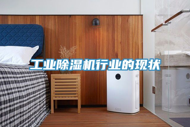 工业91免费网站在线观看行业的现状
