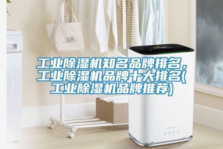 工业91免费网站在线观看知名品牌排名，工业91免费网站在线观看品牌十大排名(工业91免费网站在线观看品牌推荐)