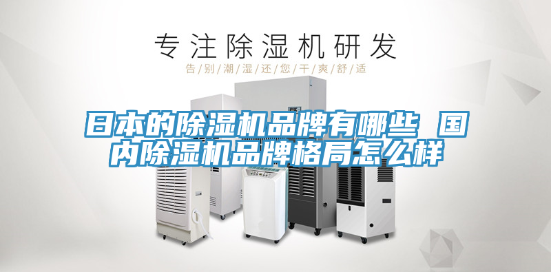 日本的91免费网站在线观看品牌有哪些 国内91免费网站在线观看品牌格局怎么样