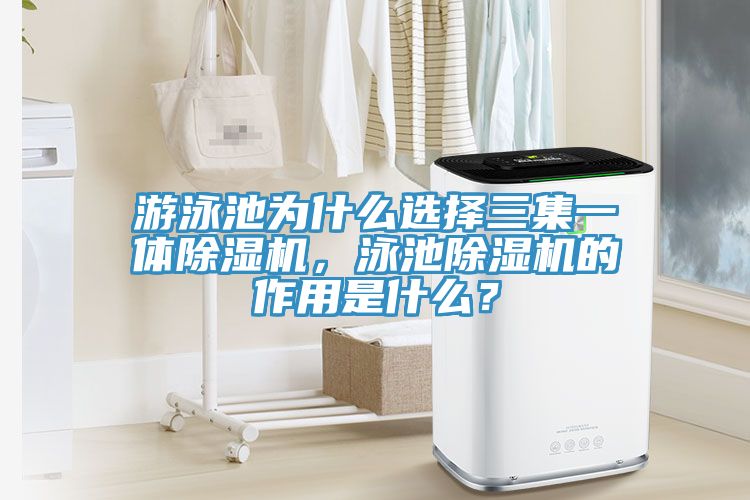游泳池为什么选择三集一体91免费网站在线观看，泳池91免费网站在线观看的作用是什么？