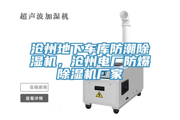 沧州地下车库防潮91免费网站在线观看，沧州电厂防爆91免费网站在线观看厂家