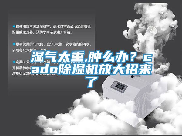 湿气太重,肿么办？cado91免费网站在线观看放大招来了