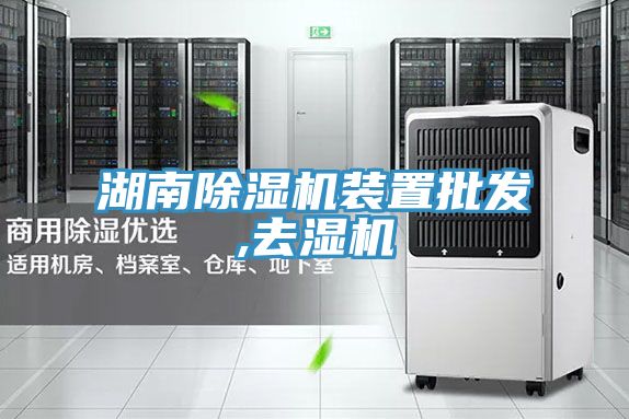湖南91免费网站在线观看装置批发,去湿机