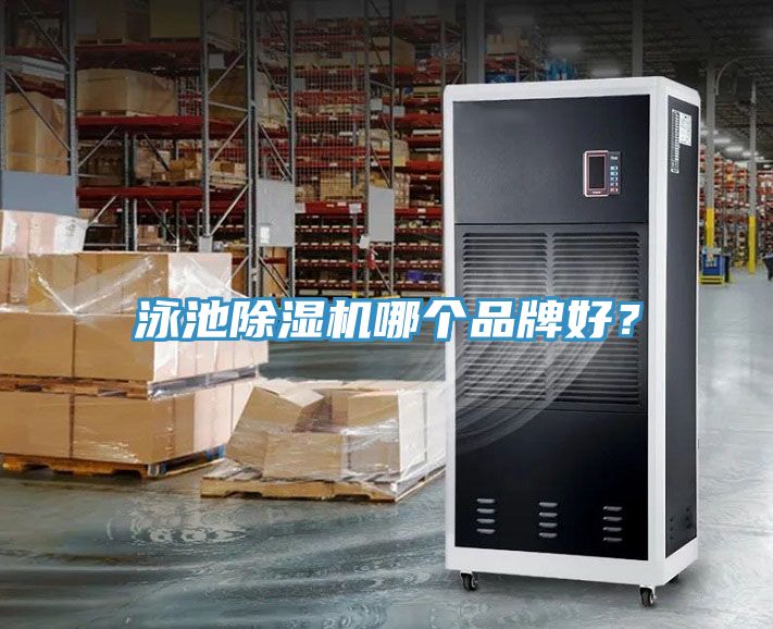 泳池91免费网站在线观看哪个品牌好？