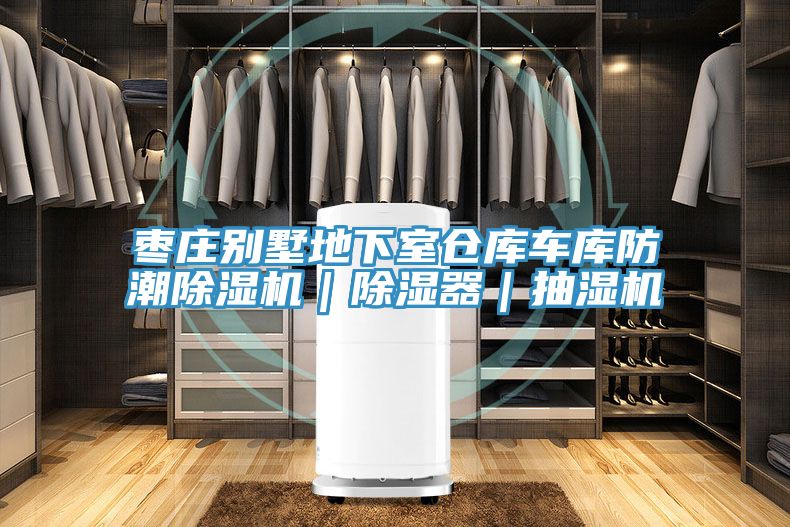 枣庄别墅地下室仓库车库防潮91免费网站在线观看｜除湿器｜抽湿机