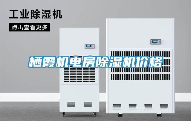 栖霞机电房91免费网站在线观看价格