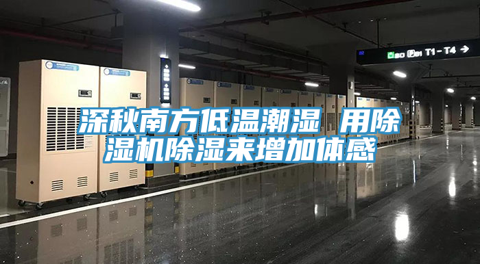 深秋南方低温潮湿 用91免费网站在线观看除湿来增加体感