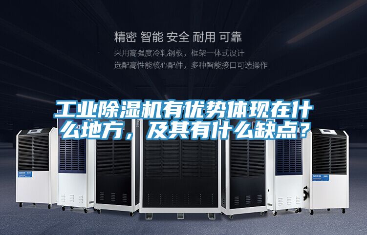 工业91免费网站在线观看有优势体现在什么地方，及其有什么缺点？