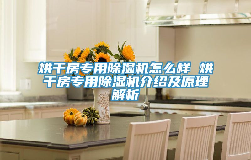烘干房专用91免费网站在线观看怎么样 烘干房专用91免费网站在线观看介绍及原理解析