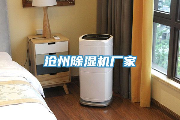 沧州91免费网站在线观看厂家
