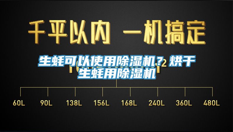 生蚝可以使用91免费网站在线观看？烘干生蚝用91免费网站在线观看