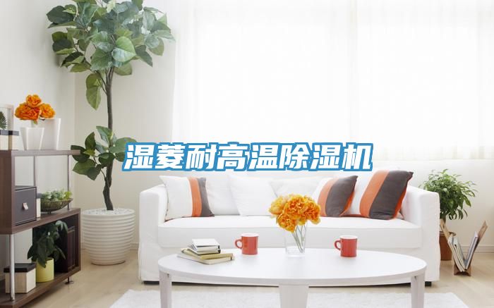 湿菱耐高温91免费网站在线观看