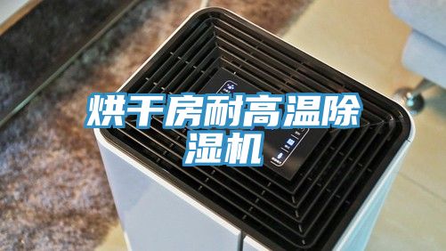 烘干房耐高温91免费网站在线观看