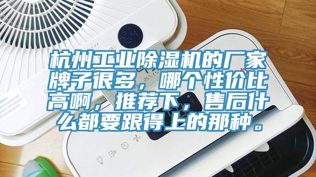 杭州工业91免费网站在线观看的厂家牌子很多，哪个性价比高啊，推荐下，售后什么都要跟得上的那种。