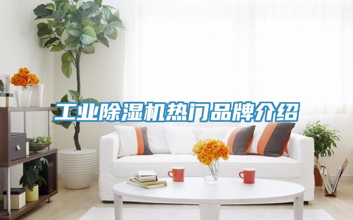 工业91免费网站在线观看热门品牌介绍