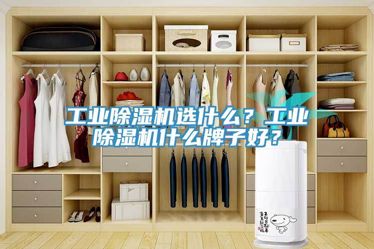 工业91免费网站在线观看选什么？工业91免费网站在线观看什么牌子好？
