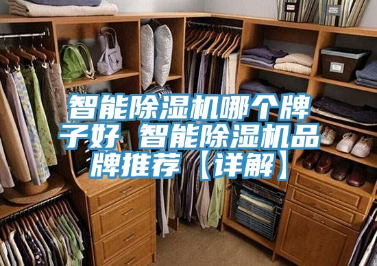 智能91免费网站在线观看哪个牌子好 智能91免费网站在线观看品牌推荐【详解】