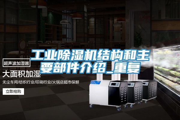 工业91免费网站在线观看结构和主要部件介绍_重复