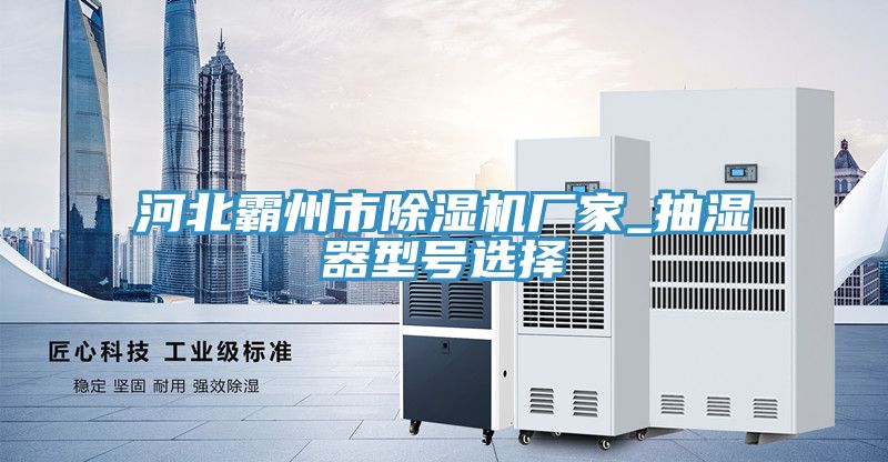 河北霸州市91免费网站在线观看厂家_抽湿器型号选择