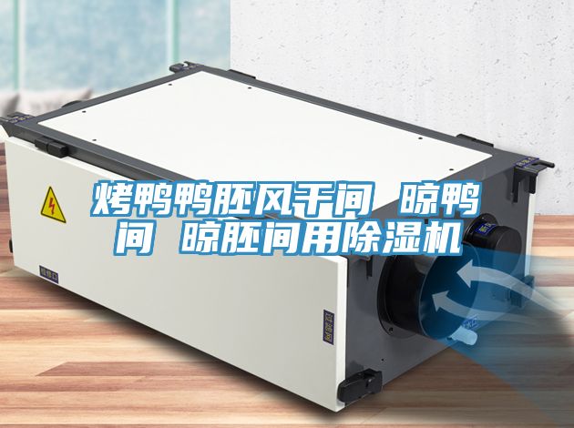 烤鸭鸭胚风干间 晾鸭间 晾胚间用91免费网站在线观看
