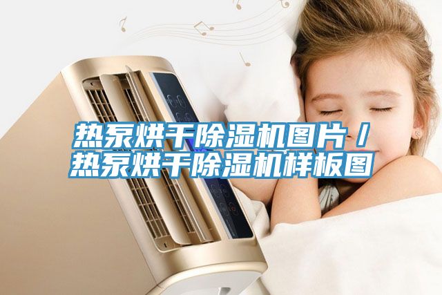 热泵烘干91免费网站在线观看图片／热泵烘干91免费网站在线观看样板图