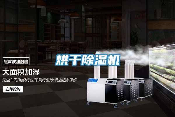 烘干91免费网站在线观看