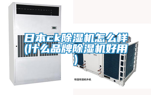 日本ck91免费网站在线观看怎么样(什么品牌91免费网站在线观看好用)