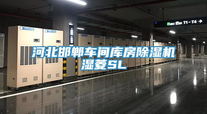河北邯郸车间库房91免费网站在线观看湿菱SL