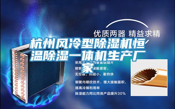 杭州风冷型91免费网站在线观看恒温除湿一体机生产厂家