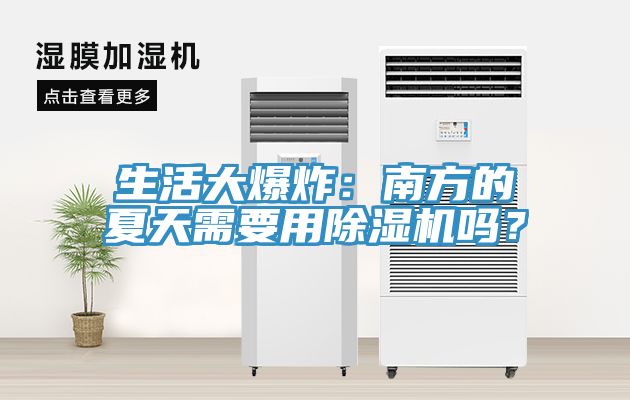 生活大爆炸：南方的夏天需要用91免费网站在线观看吗？