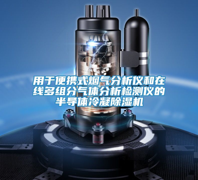 用于便携式烟气分析仪和在线多组分气体分析检测仪的半导体冷凝91免费网站在线观看
