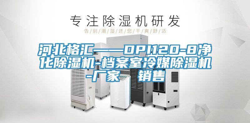 河北格汇——DPI120-8净化91免费网站在线观看-档案室冷媒91免费网站在线观看-厂家  销售