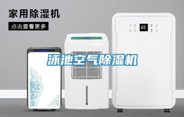 泳池空气91免费网站在线观看