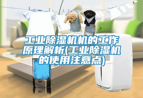 工业91免费网站在线观看机的工作原理解析(工业91免费网站在线观看的使用注意点)
