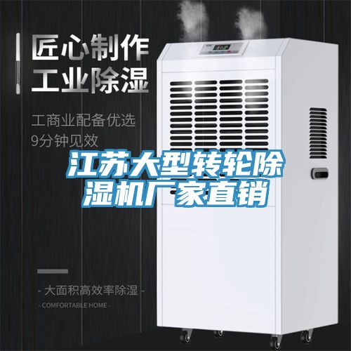 江苏大型转轮91免费网站在线观看厂家直销