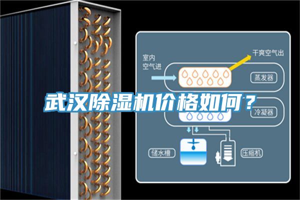 武汉91免费网站在线观看价格如何？